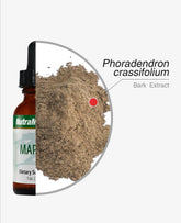 MAPALO
NEURO SUPPORT - GREEN LIFE CYPRUS